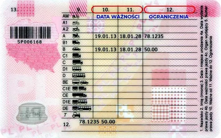 Co zrobić, gdy prawo jazdy się zgubi? Praktyczny poradnik dla kierowców