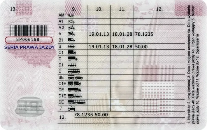 Czy prawo jazdy trzeba odnawiać? Sprawdź, co musisz wiedzieć!