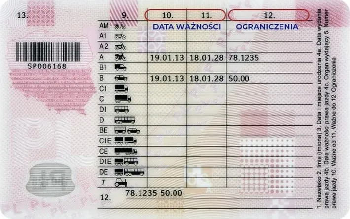 Jak w prosty sposób sprawdzić ważność prawa jazdy?