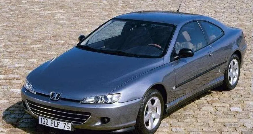 Filtr paliwa Peugeot 406