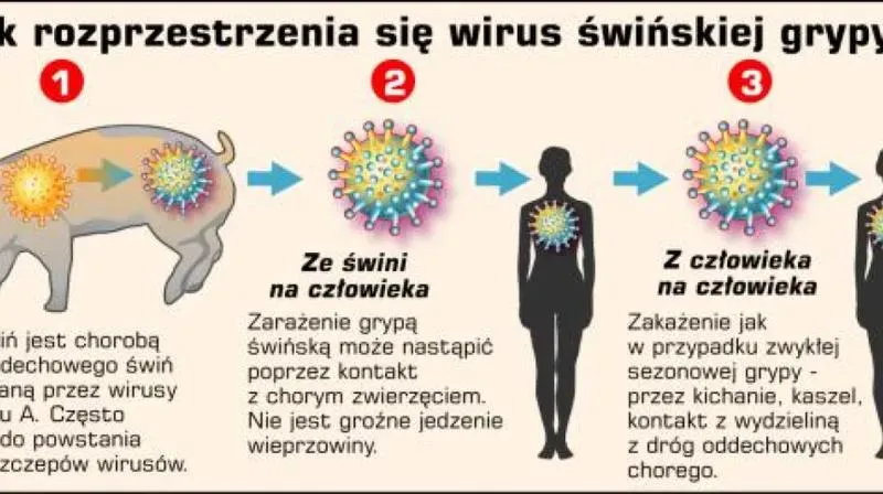 Leczenie świńskiej grypy