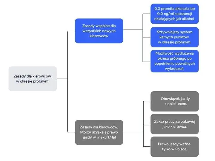 Prawo jazdy za darmo 2026