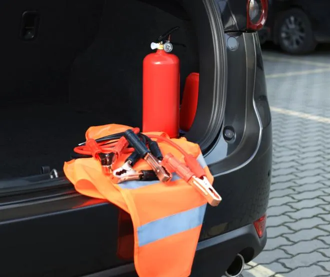 Przepisy drogowe w Danii