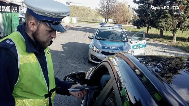 Rodzaje wykroczeń związanych z jazdą